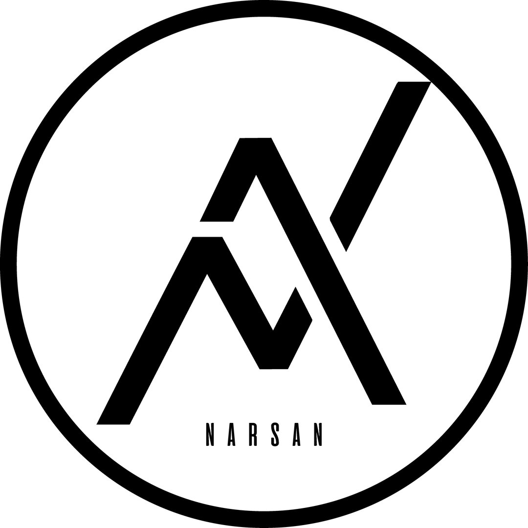NARSAN logo